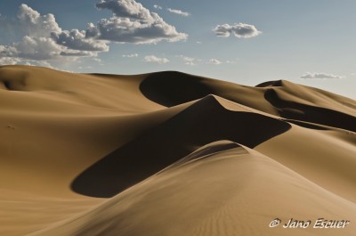 Dunas de Khongoryn Els 01 {Mongolia}