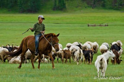 Familia-nómada. Tsetserleg {Mongolia}