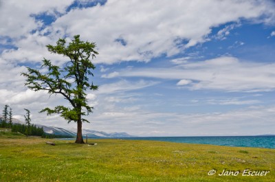 Lago Khovsgol {Mongolia}