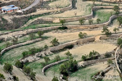 Villafranca del Cid