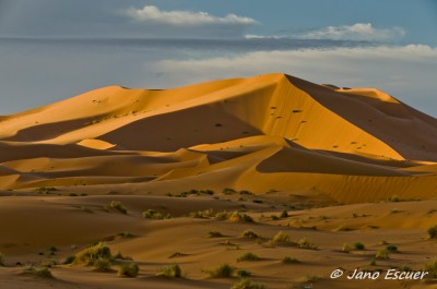 Dunas del Erg Chebbi. Merzouga {Marruecos}